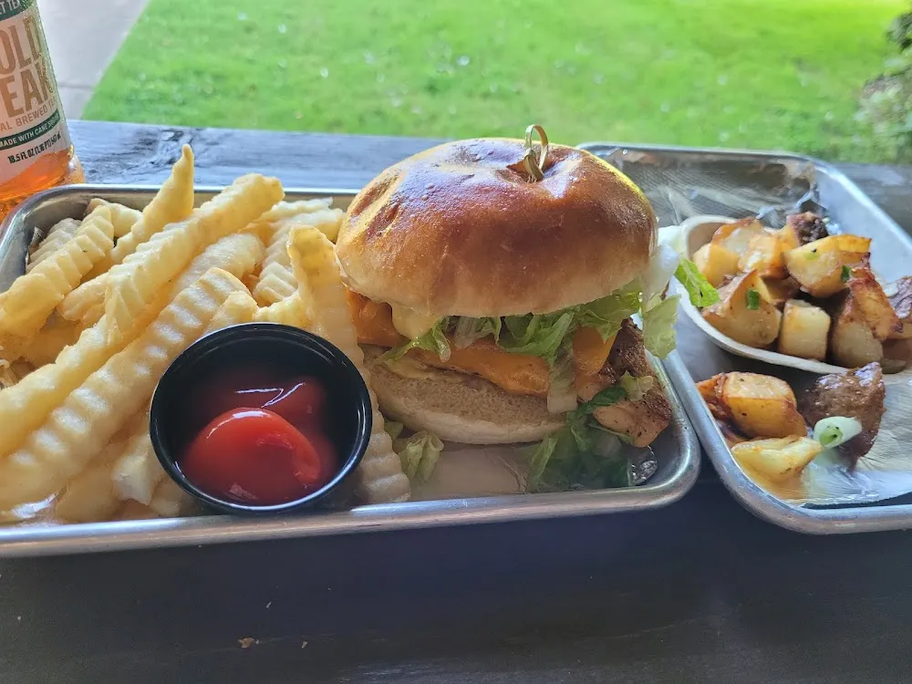 Cajun Chicken Sandwich and Fries