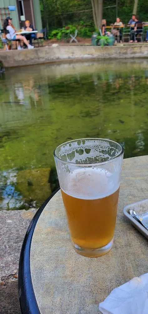 Cider